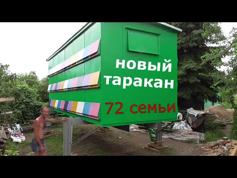 Видео: Новый Берендей / Пчеловодство / ПчелоТаракан.
