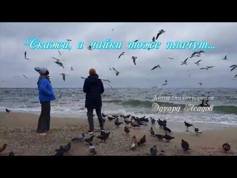 Видео: Скажи, а чайки тоже плачут   Прекрасное стихотворение Эдуарда Асадова Tell me seagulls cry too