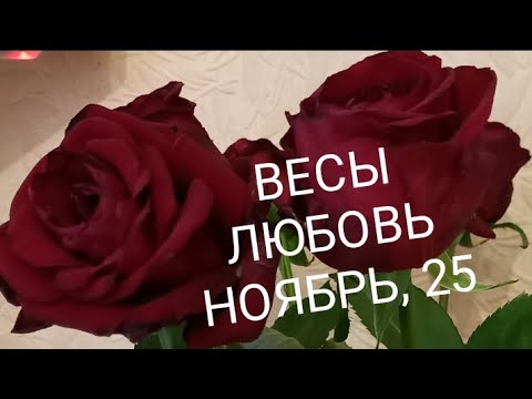 Видео: ВЕСЫ ЛЮБОВЬ НОЯБРЬ 2025 года