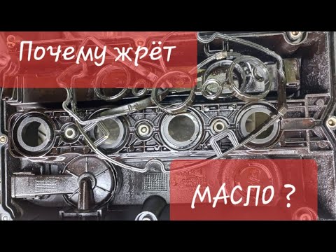 Видео: Дикий масложор из-за клапанной крышки. A16XER/F18D4.