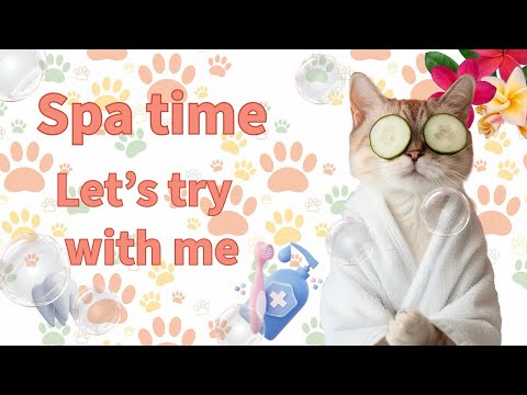 Видео: Муурны арчилгаа 🪥🧼🫧🫧🫧