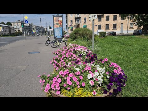 Видео: Санкт-Петербург. По улице Наличной.