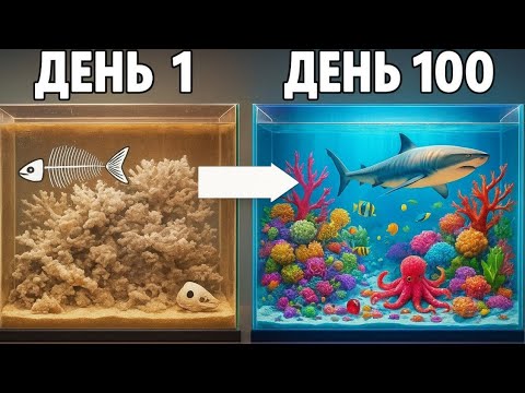Видео: Моделирование приливного бассейна в течение 100 дней