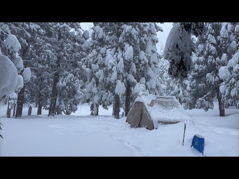 Видео: Горячий одиночный поход в палатке в снежном лесу│помятая палатка