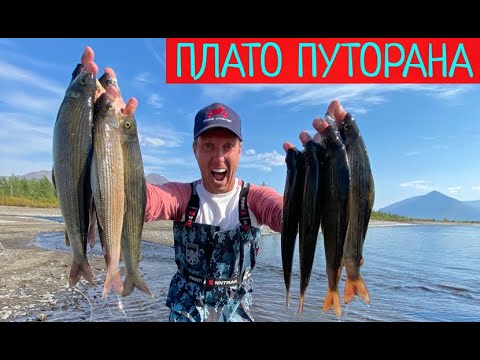 Видео: Рыбалка в запретных местах ПЛАТО ПУТОРАНА. САМОЛЕТ для рыбалки.