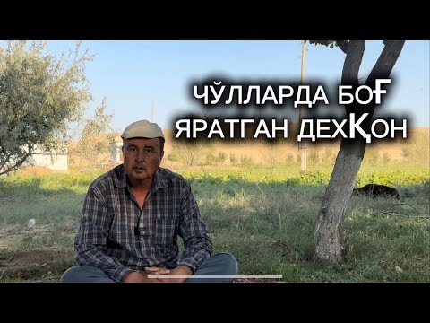 Видео: Қирда боғ яратган боғбон