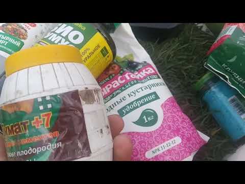 Видео: Удобрения для  клубники - чем кормим? Часть 2 (маленькая)