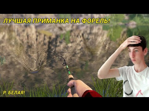 Видео: ЛУЧШАЯ ПРИМАНКА НА ФОРЕЛЬ НА РЕЧКЕ БЕЛАЯ! ЗАКРЫЛ ФОРЕЛЬ В КАФЕ!