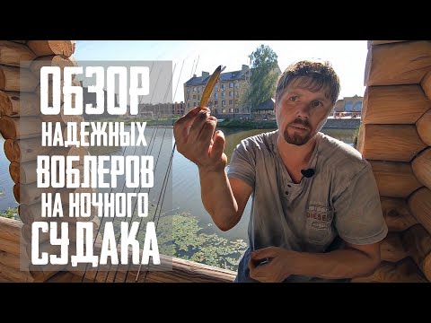 Видео: ЭТИ ВОБЛЕРА ТОЧНО РАБОТАЮТ ПО СУДАКУ / ОБЗОР КОРОБКИ