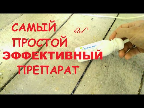 Видео: Итоги профилактики пероеда у декоративных птиц