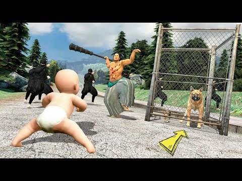 Видео: Ниндзялар менің МЫСЫҚ пен ИТІМДІ ҰРЛАП КЕТТІ!