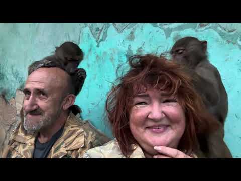 Видео: Тося СОШЛА с УМА! Я думала что Люся меня жестко встретила, но то, что вытворила Тося….(((