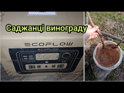 Видео: Не втримались!Готуємось до зими без світла!