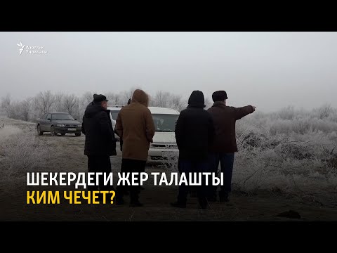 Видео: Шекердеги жер талашты ким чечет?