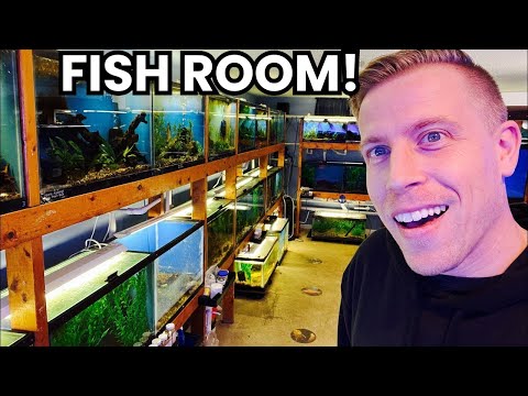 Видео: Невероятный тур по аквариуму с 70 аквариумами!