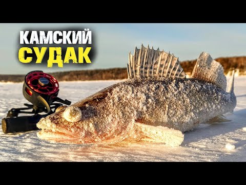 Видео: Новый бур Strikemaster, поиск судак с Практик 8