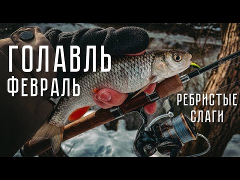 Видео: ГОЛАВЛЬ В ФЕВРАЛЕ! Рыбалка с TENRYU Rayz 632S-L на СЛАГИ.