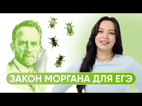 Видео: ЗАКОН МОРГАНА ДЛЯ ЕГЭ | Биология 10 класс | 99 БАЛЛОВ