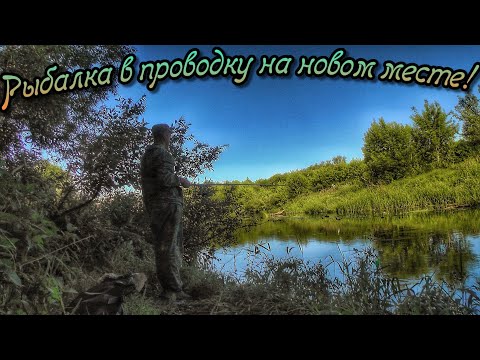 Видео: РЫБАЛКА НА ПОПЛАВОК ! ПОПАЛ НА РАЗДАЧУ РЫБЫ)))
