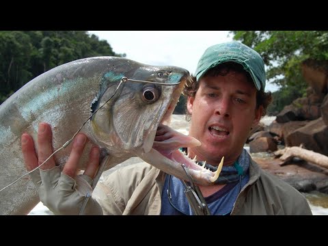 Видео: Находки в Амазонке Шокирующие Всех! Никто не Знает Что Это!