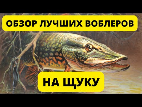 Видео: Обзор уловистых воблеров на щуку. Jackall Magallon, Tiny Magalon MR