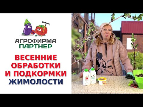 Видео: ВЕСЕННИЕ ОБРАБОТКИ И ПОДКОРМКИ ЖИМОЛОСТИ