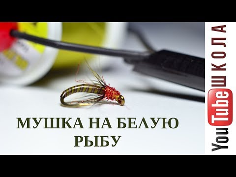 Видео: Вяжем мушку на бель. Уроки Flytying от Данилыча