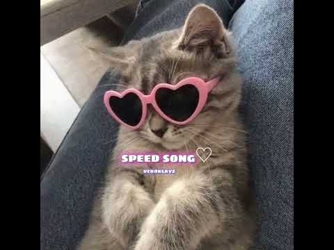 Видео: грею счастье (speed up,nightcore)🙈