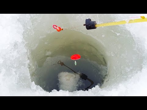 Видео: Караси ВЫКЛАДЫВАЮТ поплавки! Рыбалка зимой со льда, ловля в 2022