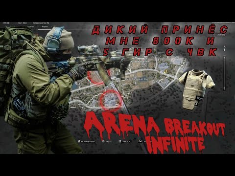 Видео: ARENA BREAKOUT INFINITE ☠️ ДИКИЙ ПРИНЁС МНЕ 800К И 5 ГИР #abi