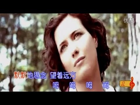 Видео: 苏联歌曲 《鹤群》 "Журавли" - 中文版