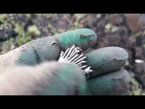 Видео: Нашёл царское серебро Рарик, наконец-то Фортануло, коп с двумя Легендами, на старой вымершей деревне