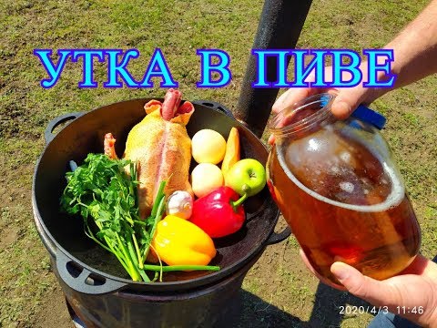 Видео: УТКА В ПИВЕ В КАЗАНЕ НА КОСТРЕ
