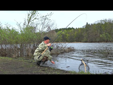 Видео: РЫБАЛКА НА ЗАТОПЛЕННЫХ БЕРЕГАХ СРЕДИ ЗМЕЙ! Первая рыбалка на фидер весной 2024.