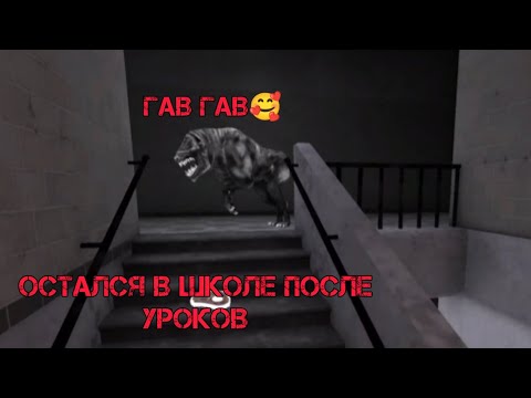 Видео: В ШКОЛЕ ОБИТАЕТ ПЕСИК 🥰 | Eyes