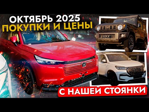 Видео: Эти АВТО покупают в октябре 2025❗️ Актуальные цены: Vezel, StepWGN, Levorg, Wish, N-BOX, XC40, UNI-T