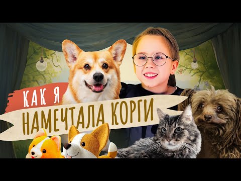 Видео: У меня живёт корги,  собака породы петербургская орхидея и кот. Мой питомец  