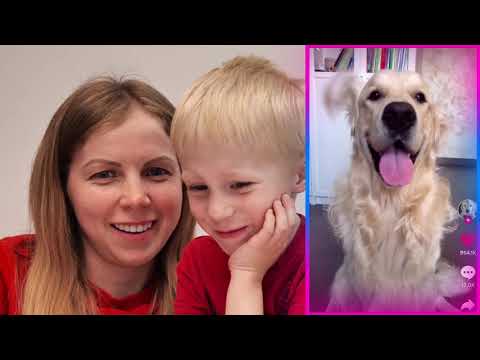 Видео: Реакция на Тик Ток! СМОТРИМ МИ МИ МИ видео с животными!