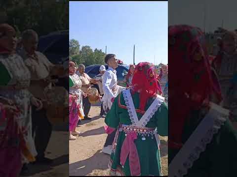 Видео: 14 августа 2023 г.