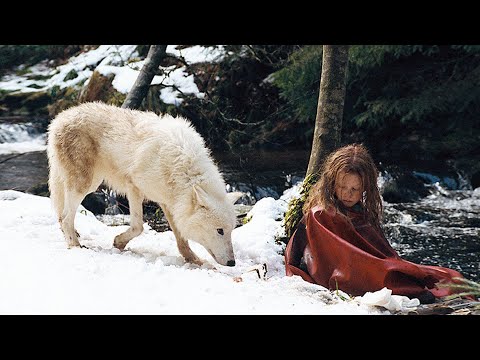 Видео: Волки окружили ребенка, желая отведать свежего мяса. Как вдруг увидели его и отступили