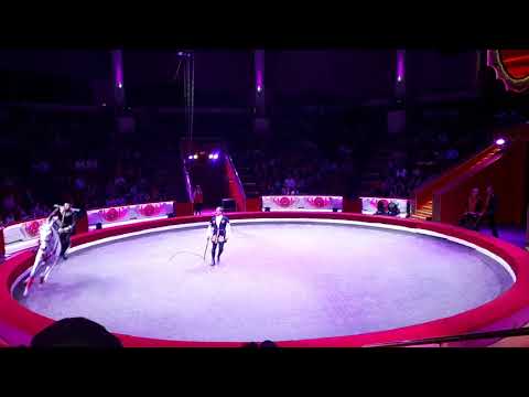 Видео: "Джигиты Осетии "САРМАТ под рук.Олега Танделова 2017-2018 год