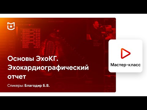 Видео: Основы ЭхоКГ. Эхокардиографический отчет. Благодир Б.В.