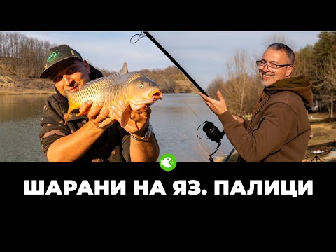 Видео: МАРТЕНСКИ ШАРАНИ НА ЯЗ. ПАЛИЦИ - Успешен старт на сезон 2025!