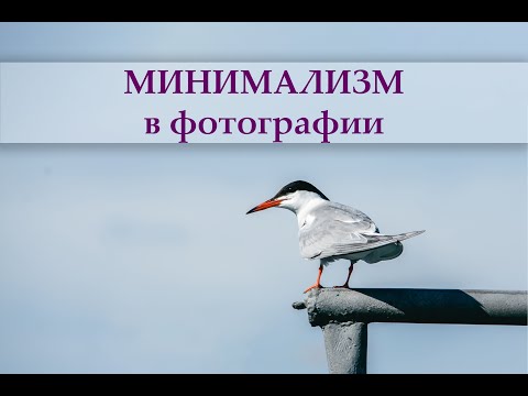 Видео: Минимализм в фотографии. 7 главных правил.