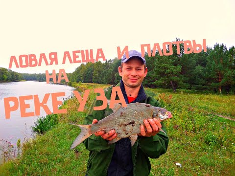 Видео: Ловля подлещика- Рыбалка на леща в августе- Рыбалка в Пензе на Реке Уза