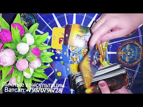 Видео: ‼️ С минуты на минуту ‼️