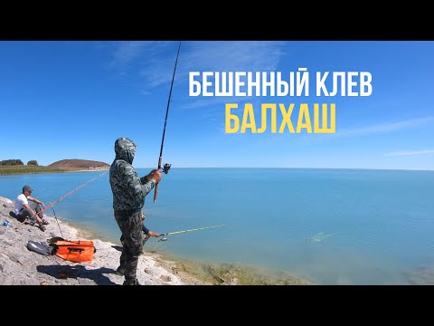 Видео: БАЛХАШ! КРАСИВЕЕ ЧЕМ МАЛЬДИВЫ! РЫБАЛКА ВОБЛА КАК С ПУЛЕМЕТА