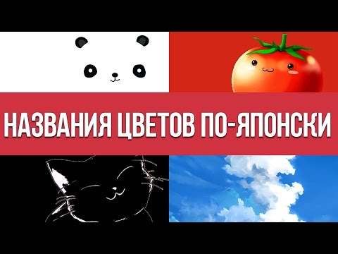 Видео: Названия цветов по японски || Японский для начинающих || Дарья Мойнич