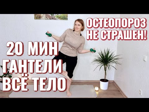 Видео: Упражнения с гантелями / Профилактика остеопороза и саркопении / Координация движений