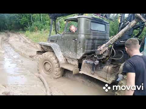 Видео: Как работают в лесу лесовозы. #ЛесовозыРабота